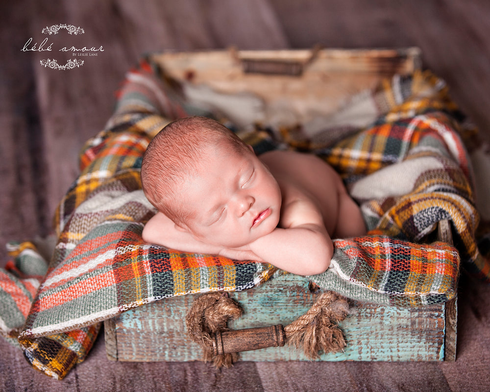 Newborn photography boy